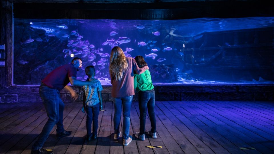 Monterrey tendría su acuario interactivo / Facebook / Sealand León