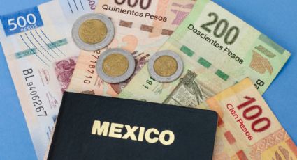 Estos son los nuevos precios para el pasaporte mexicano en 2024