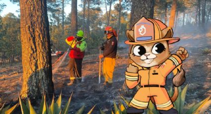 Conoce a 'Evita Fuegos' la leoncita que cuidará a Nuevo León de incendios forestales