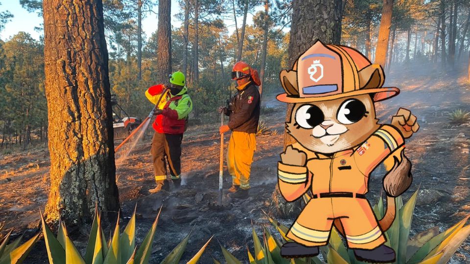 'Evita fuegos' es el personaje creado por el Gobierno de Nuevo León para cuidar a la entidad de los incendios forestales.