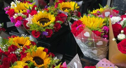 ¿Regalarás girasoles este San Valentín? Esto significan