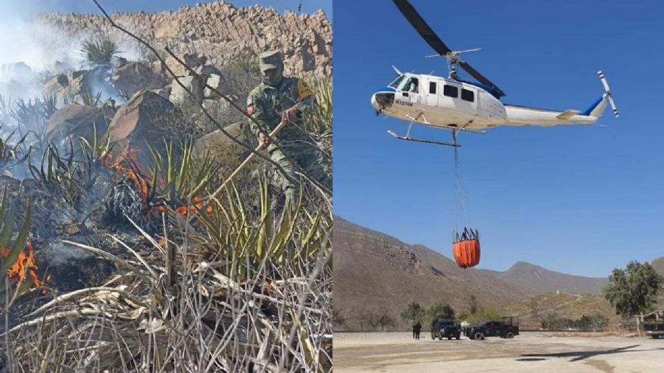 Controlan incendio forestal en García.