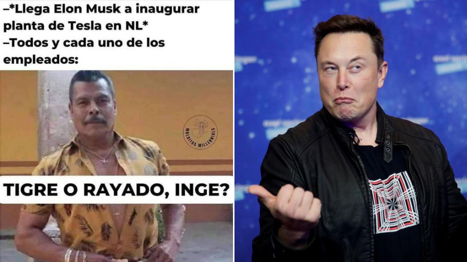 Elon Musk y Tesla protagonizan los memes del día | Especial