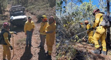 Controlan incendio forestal en Ciénega del Toro en Galeana