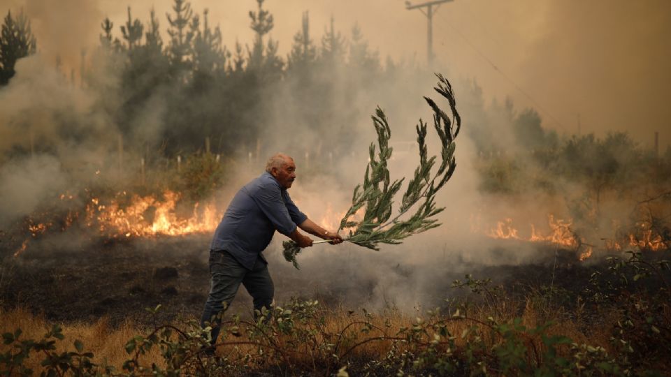 Bomberos y habitantes trabajan en apagar un incendio en Santa Juana (Chile). Foto: EFE / Felipe Figueroa