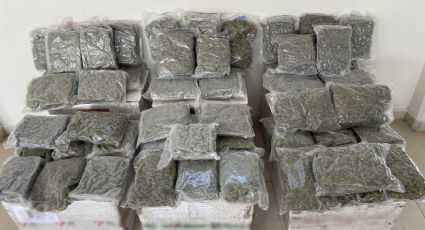 Localizan paquetes de mariguana en sucursal de mensajería de Monterrey