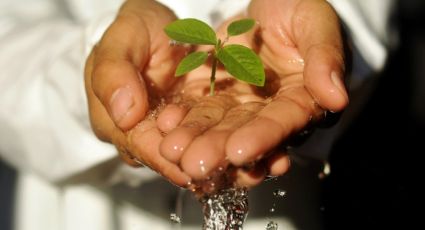 Este 2023 cuidemos el agua con estos sencillos pasos