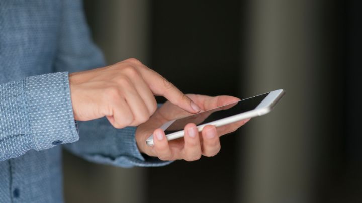 Diputados en NL podrán emitir sus votos electrónicos con sus celulares