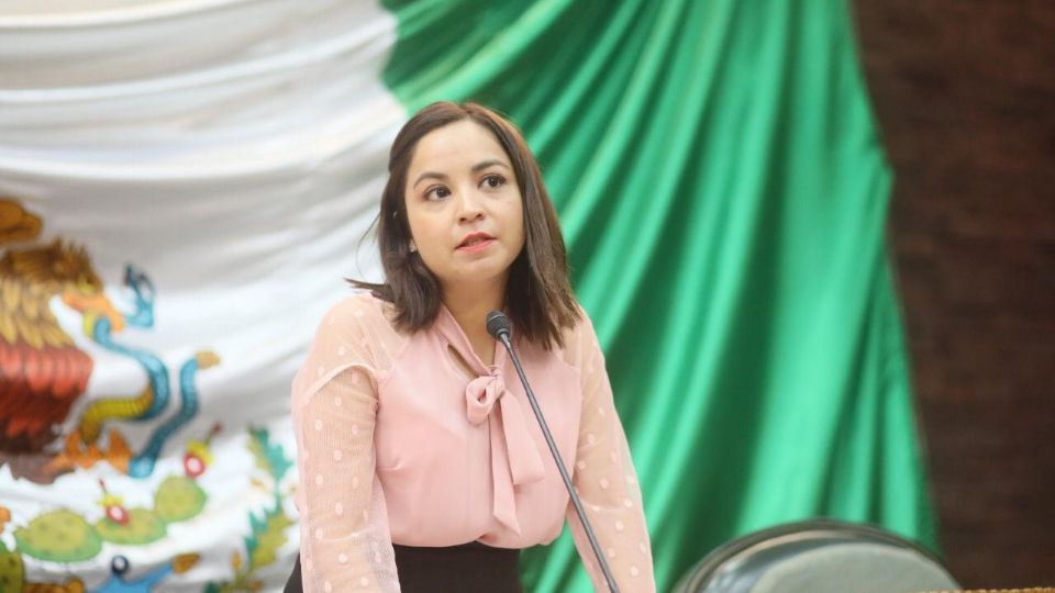 Diputada de Movimiento Ciudadano, Iraís Virginia Reyes.