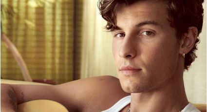 Shawn Mendes niega romance con Sabrina Carpenter