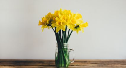 ¿Por qué suelen regalarse flores amarillas este 21 de marzo?