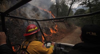 Pide investigador de la UANL mejorar relación con bosques