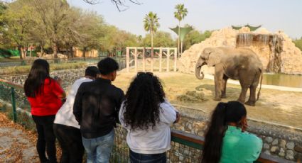 Exdirector de Parques y Vida Silvestre en NL denuncia daños en animales de La Pastora