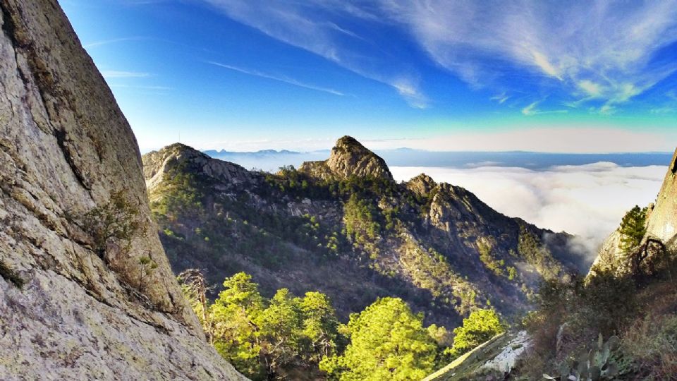 La Sierra de Picachos contempla un predio de 99 mil 432.49 hectáreas.