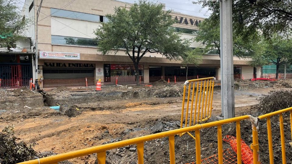 Negocios afectados por las obras en San Pedro.