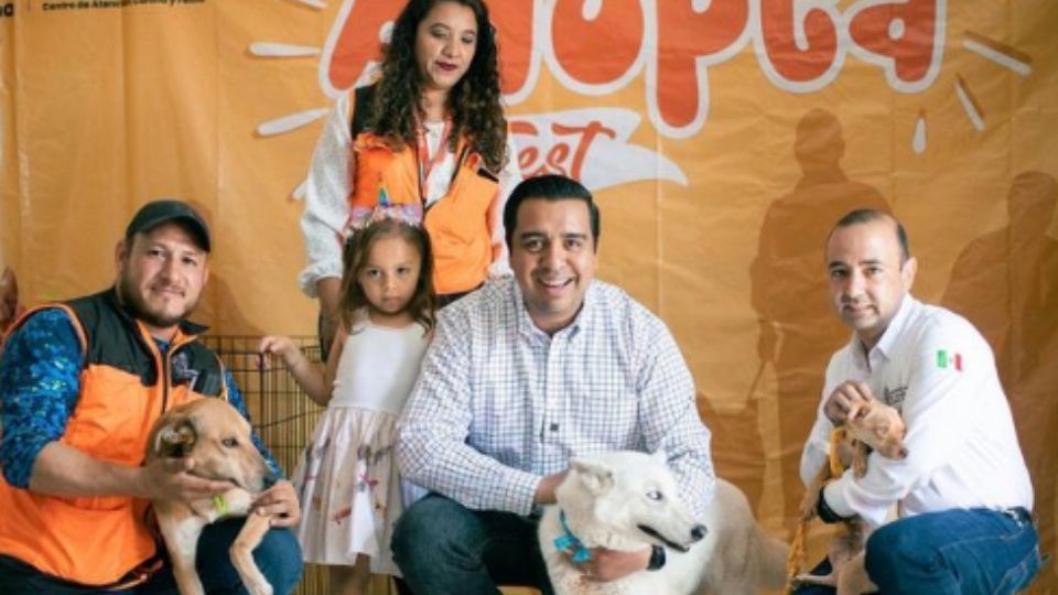 Campaña de adopción en Santa Catarina