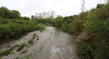 Contamina Grupo Gonher río La Silla y no recibe sanción