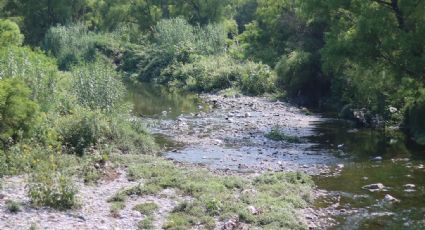 Gonher debe ser sancionada por contaminar el río La Silla: Estado