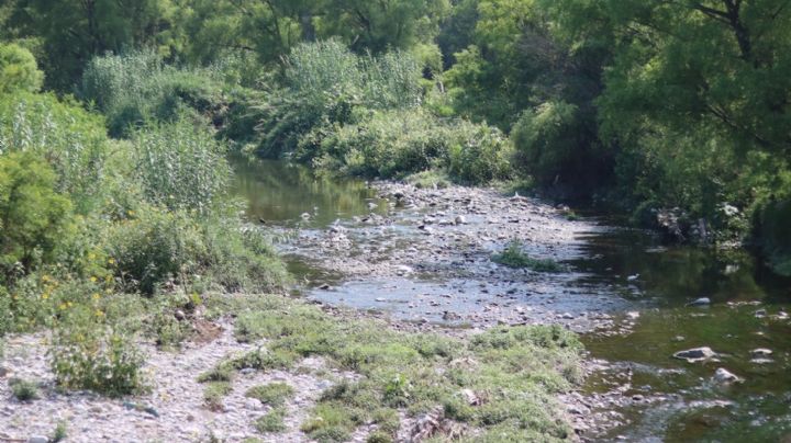 Gonher debe ser sancionada por contaminar el río La Silla: Estado