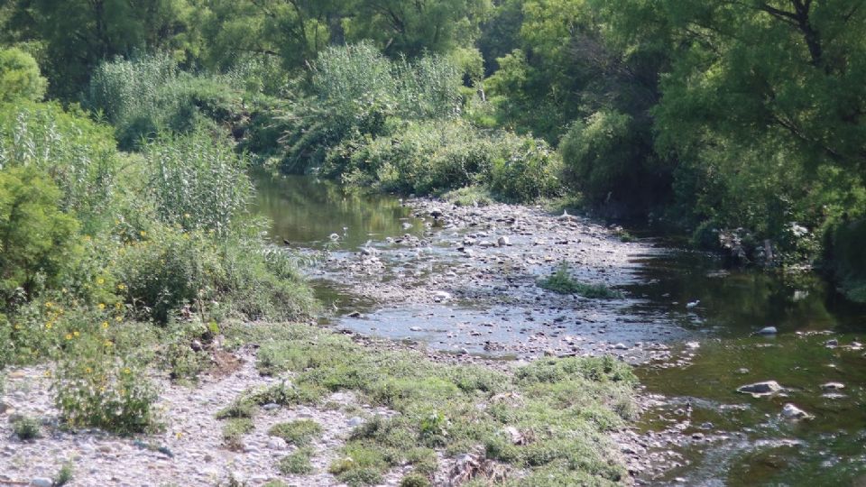 Contaminación en río La Silla