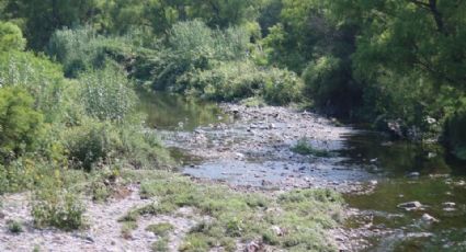 Gonher descarta haber realizado descargas contaminantes en río La Silla