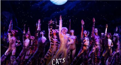 CATS llega con mega producción a Showcenter Complex