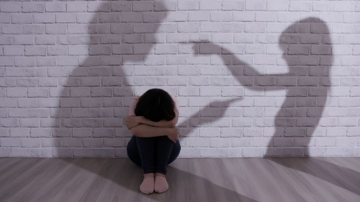 NL reconoce término de violencia vicaria