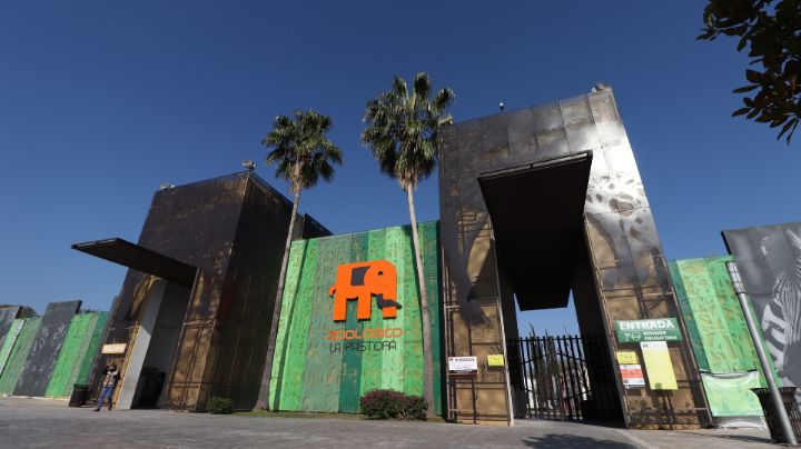 Zoológico La Pastora no cerrará; desmiente donación de animales para cacería
