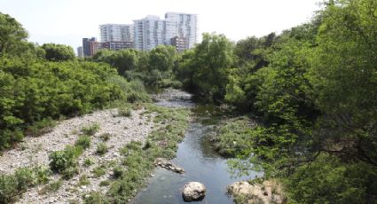 PRI pide intervención de Profepa y Semarnat en desmonte del río Santa Catarina