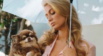 Muere la perrita chihuahua de Paris Hilton a los 23 años