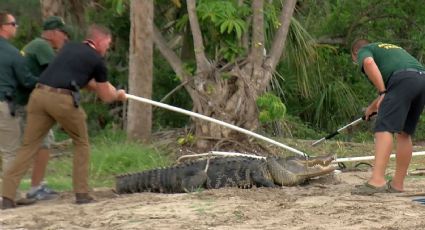 Joven pierde su brazo tras ser atacado por un caimán en Florida