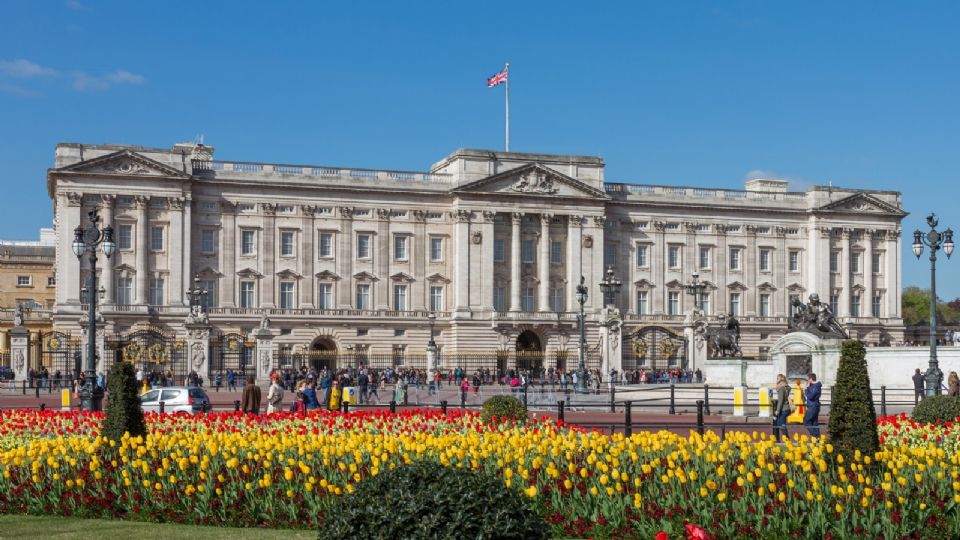 Un hombre ha sido detenido por arrojar lo que la policía cree que pueden ser cartuchos de escopeta al palacio de Buckingham.