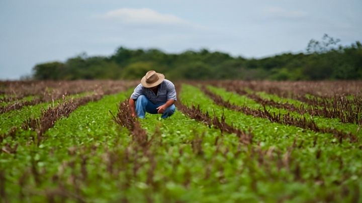 Ante cierre de Financiera Rural, campo buscará apoyo del Estado