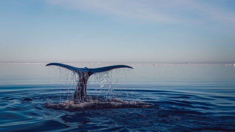 ELADIN permitirá medir la rotación del fondo oceánico.