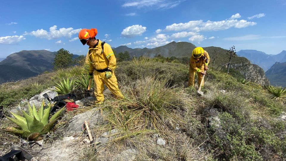 Brigadistas de Protección Civil combaten incendios forestales | Facebook / Protección Civil Nuevo León