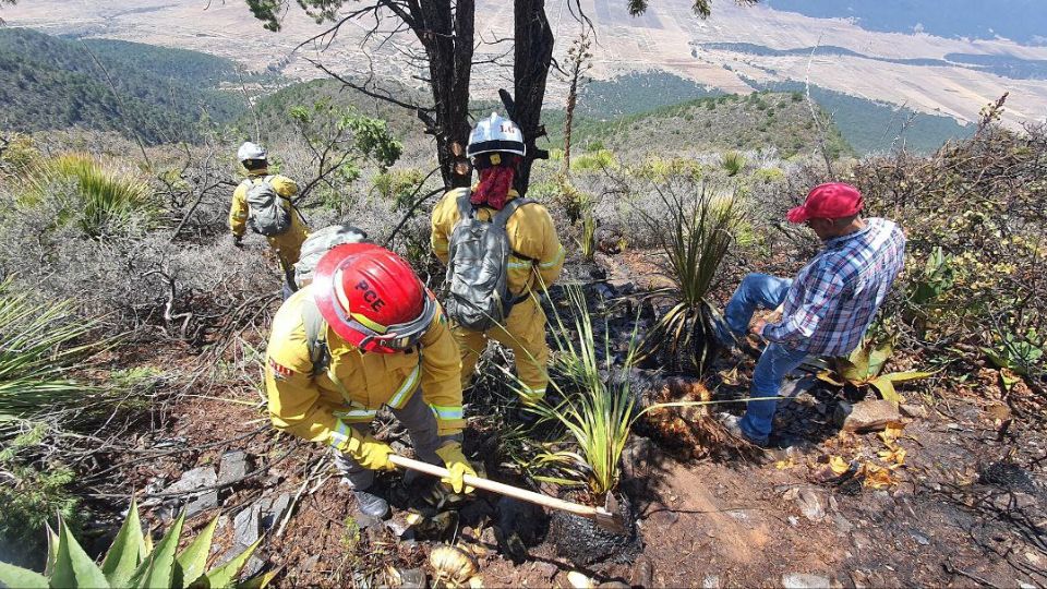 Elementos de Protección Civil de Nuevo León en labores de sofocación de incendio forestal.