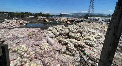 Hallan tiradero de fruta y verdura clandestino en Escobedo; detienen a 4