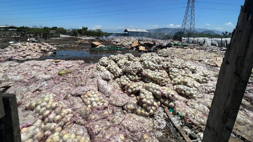 Tiradero clandestino en Escobedo