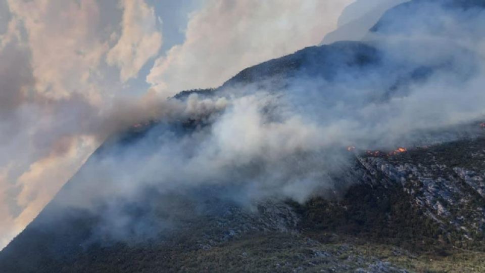 Incendio Forestal en Santa Catarina.