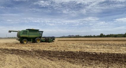 Grupo Bimbo empodera agricultores para cuidar la naturaleza y el campo