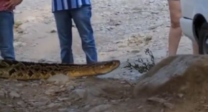 Bañistas captan enorme víbora de cascabel en el Río Ramos, NL