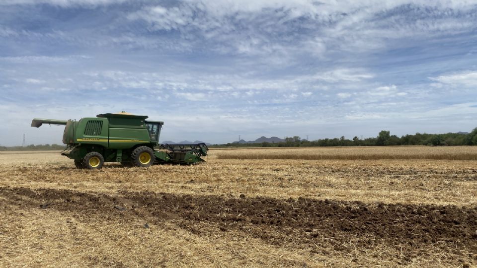 Grupo Bimbo utiliza la agricultura regenerativa como método de labranza para cuidar la salud de los suelos.