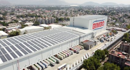 Grupo Bimbo: Dejando una huella ambiental positiva