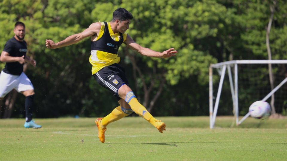 El delantero Nicolás Ibáñez anotó el segundo gol en el partido amistoso de Tigres contra Cancún FC