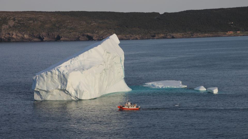 Iceberg en aguas de Terranova