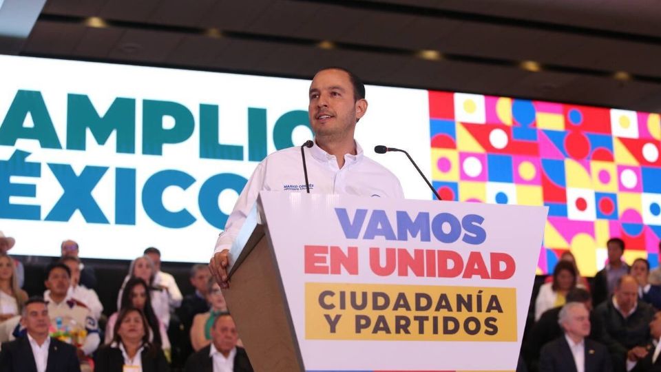 El consejo se había formado para organizar las elecciones primarias de la alianza.