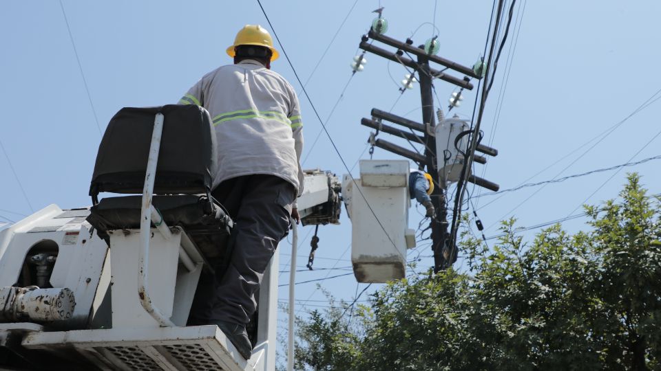 Trabajadores de la Comisión Federal de Electricidad (CFE)