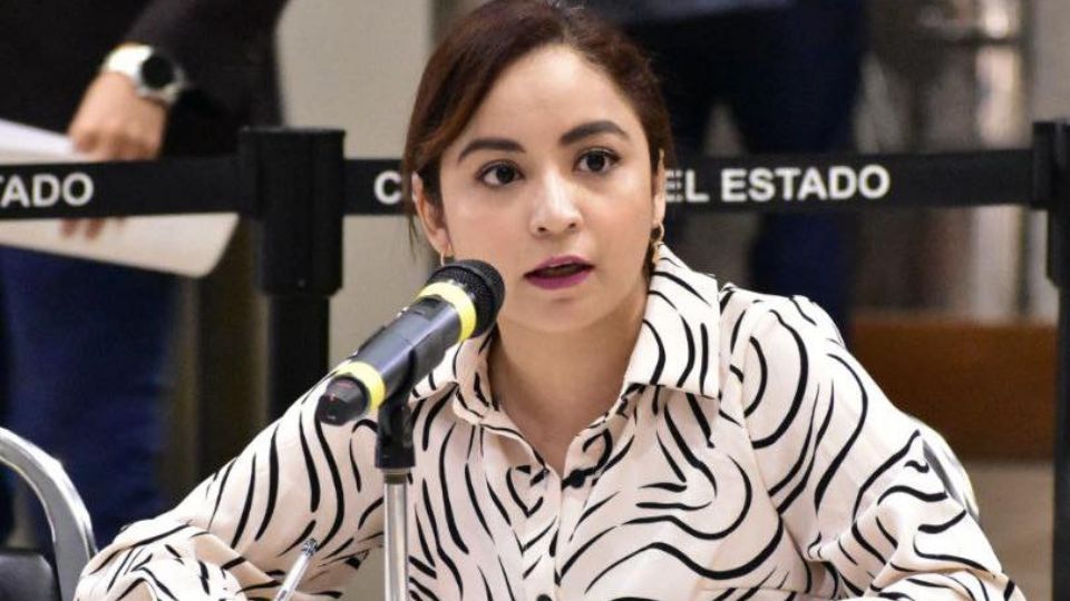 Legisladora Iraís Reyes