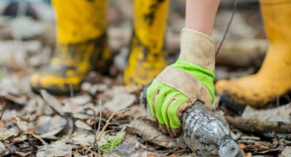 En el Día Mundial del Medio Ambiente buscan reducir uso de plásticos