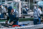 Mejora hasta un 43% ingresos de trabajadores en Nuevo León: INEGI